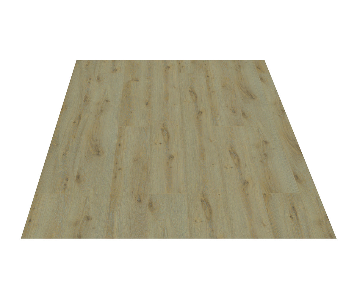 Black Forest Plus Maple Mist laminate flooring plank detail