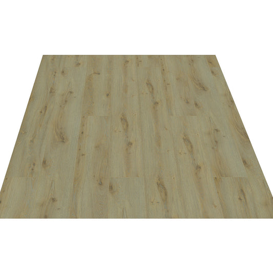 Black Forest Plus Maple Mist laminate flooring plank detail