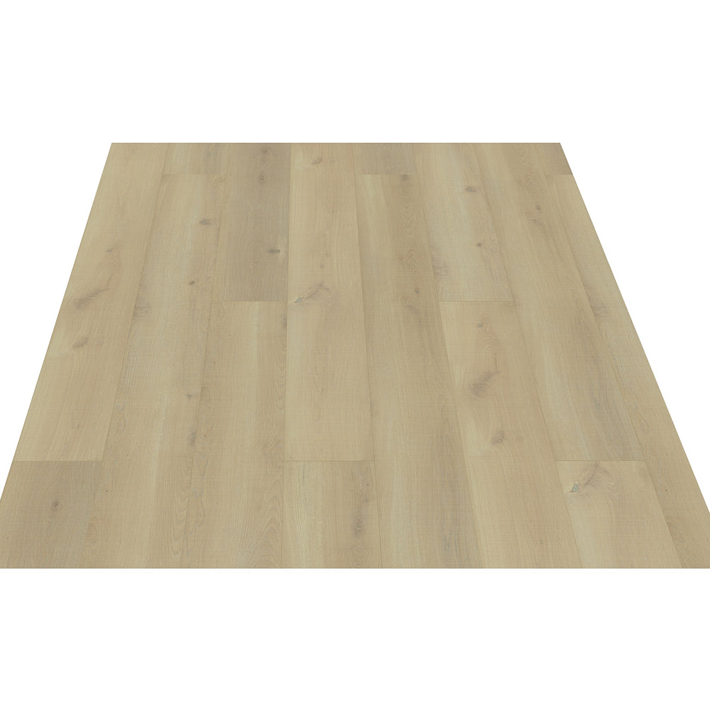 Black Forest Plus Sun Kissed Oak laminate flooring plank detail