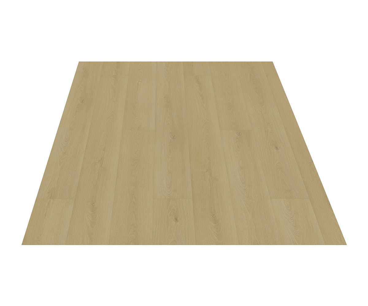 Black Forest Plus Wild Thorn laminate flooring plank detail