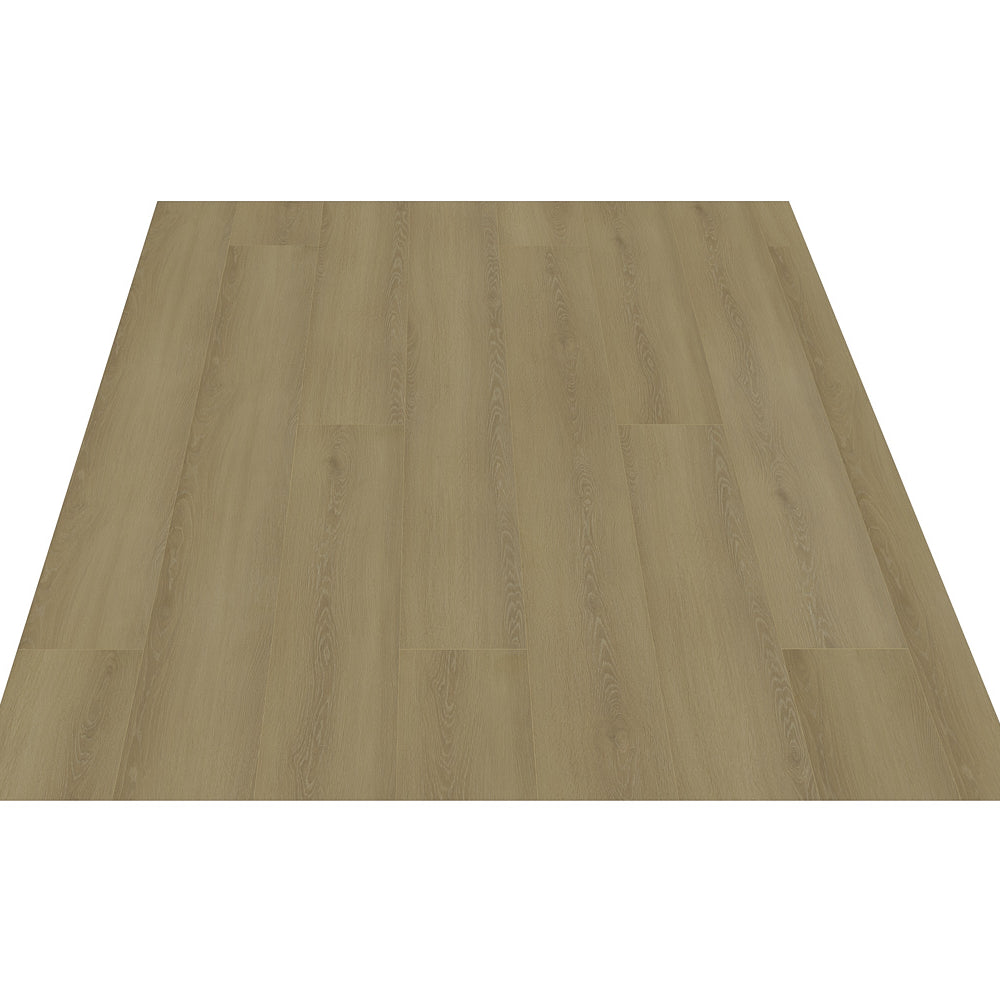 Black Forest Plus Wych Elm laminate flooring plank detail