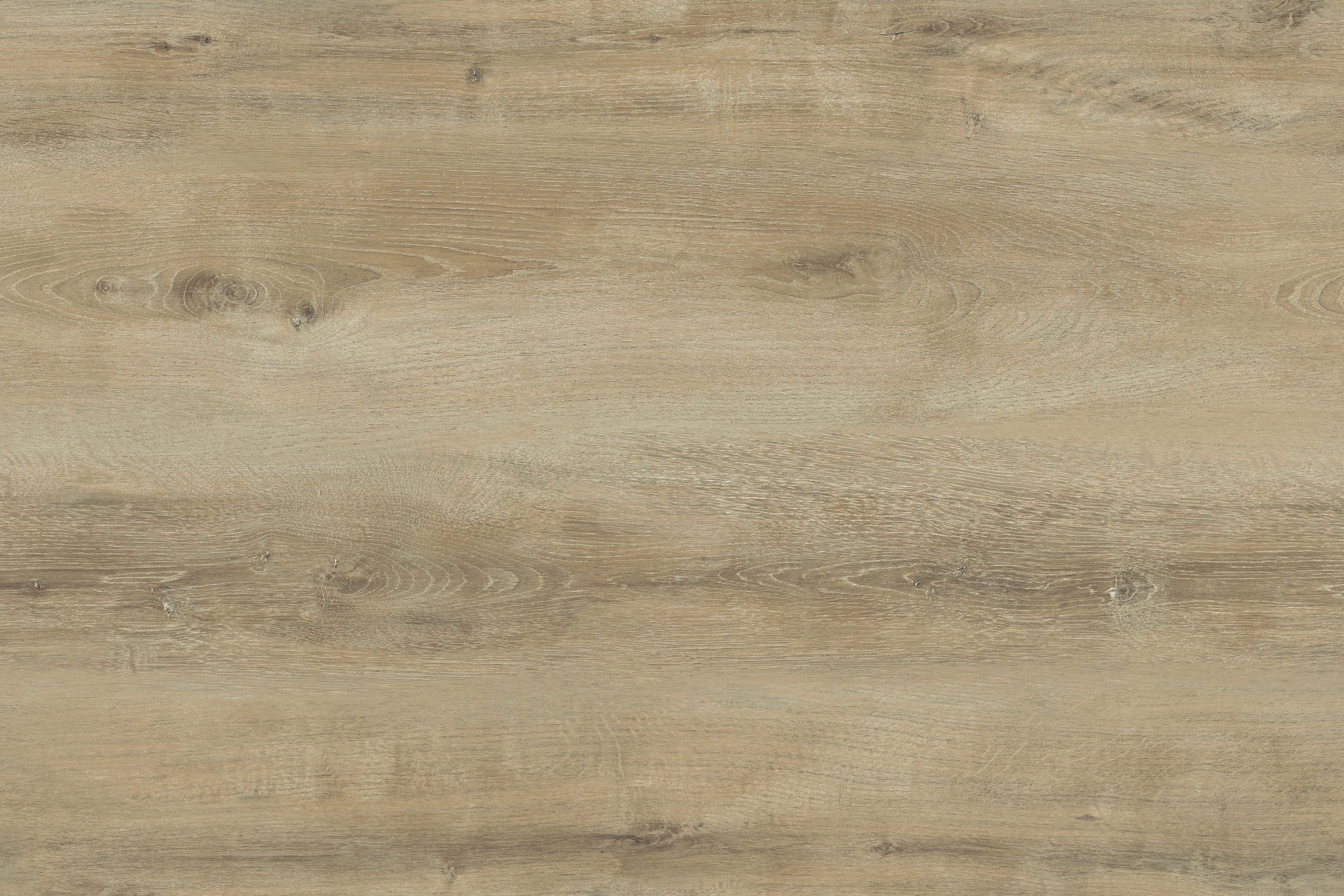 AGT Bella Neo Gardenia laminate flooring