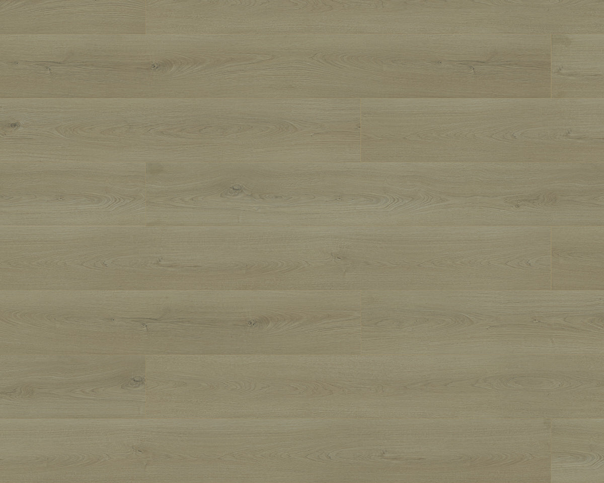Black Forest Plus Irish Pine laminate flooring