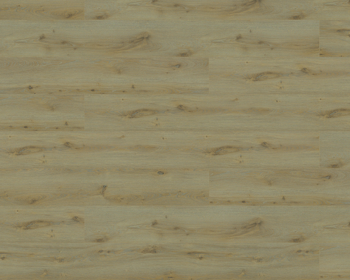 Black Forest Plus Maple Mist laminate flooring