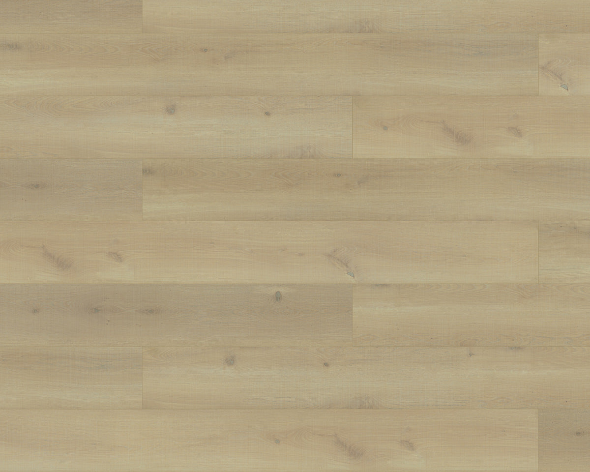 Black Forest Plus Sun Kissed Oak laminate flooring