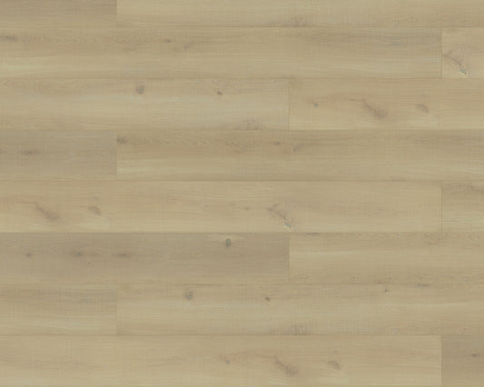 Black Forest Plus Sun Kissed Oak laminate flooring