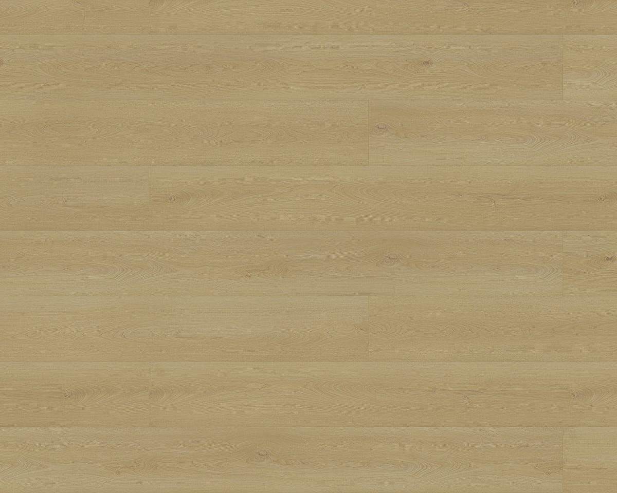 Black Forest Plus Wild Thorn laminate flooring