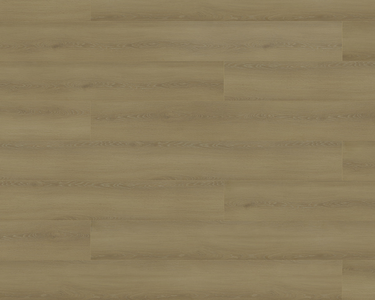 Black Forest Plus Wych Elm laminate flooring