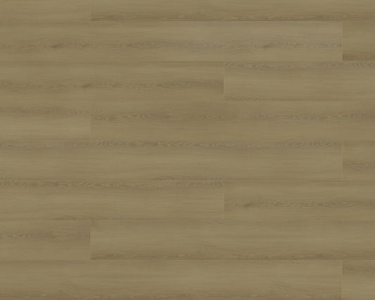 Black Forest Plus Wych Elm laminate flooring