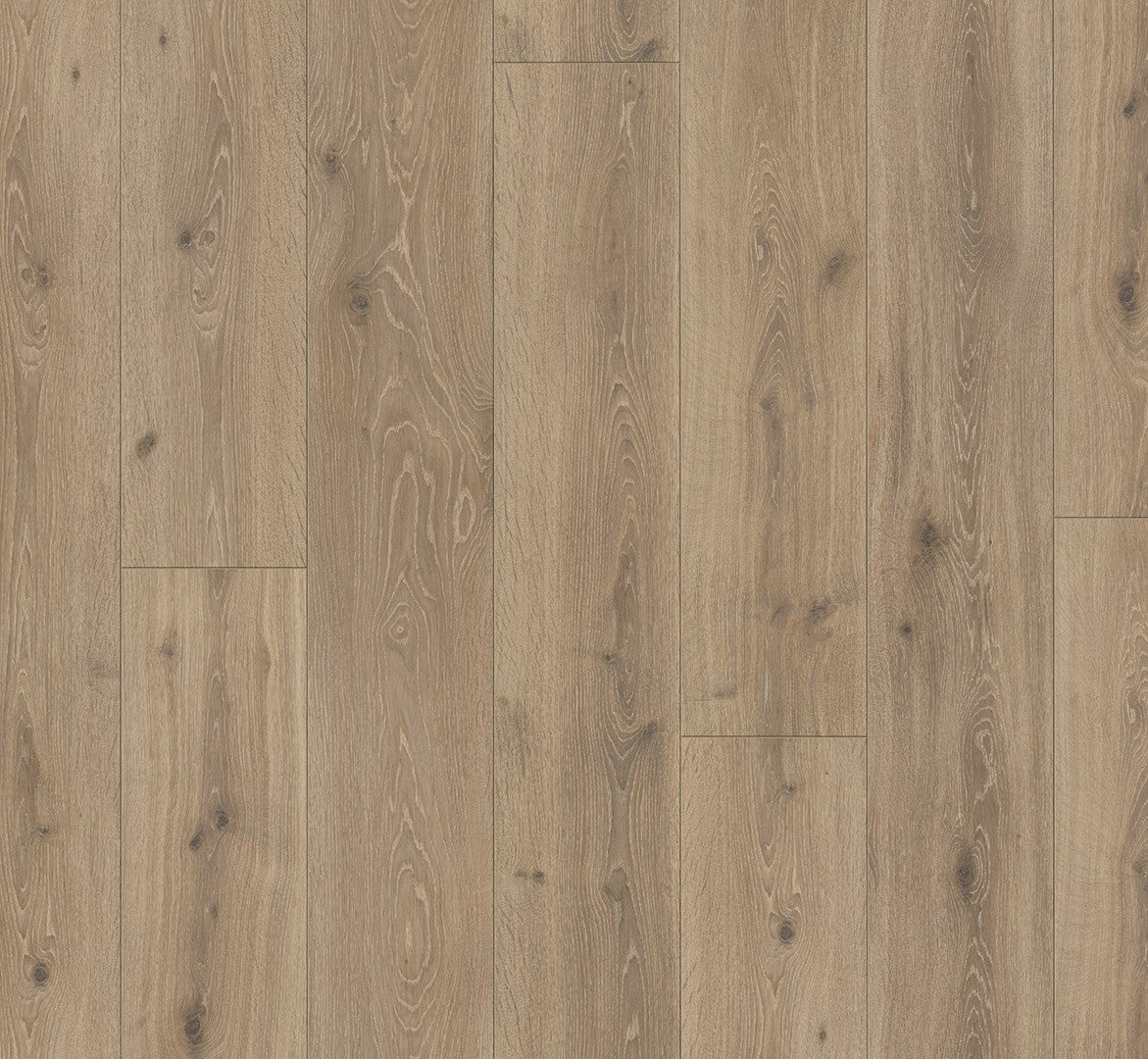 Parador Trendtime 6 Oak Castell Limed laminate flooring