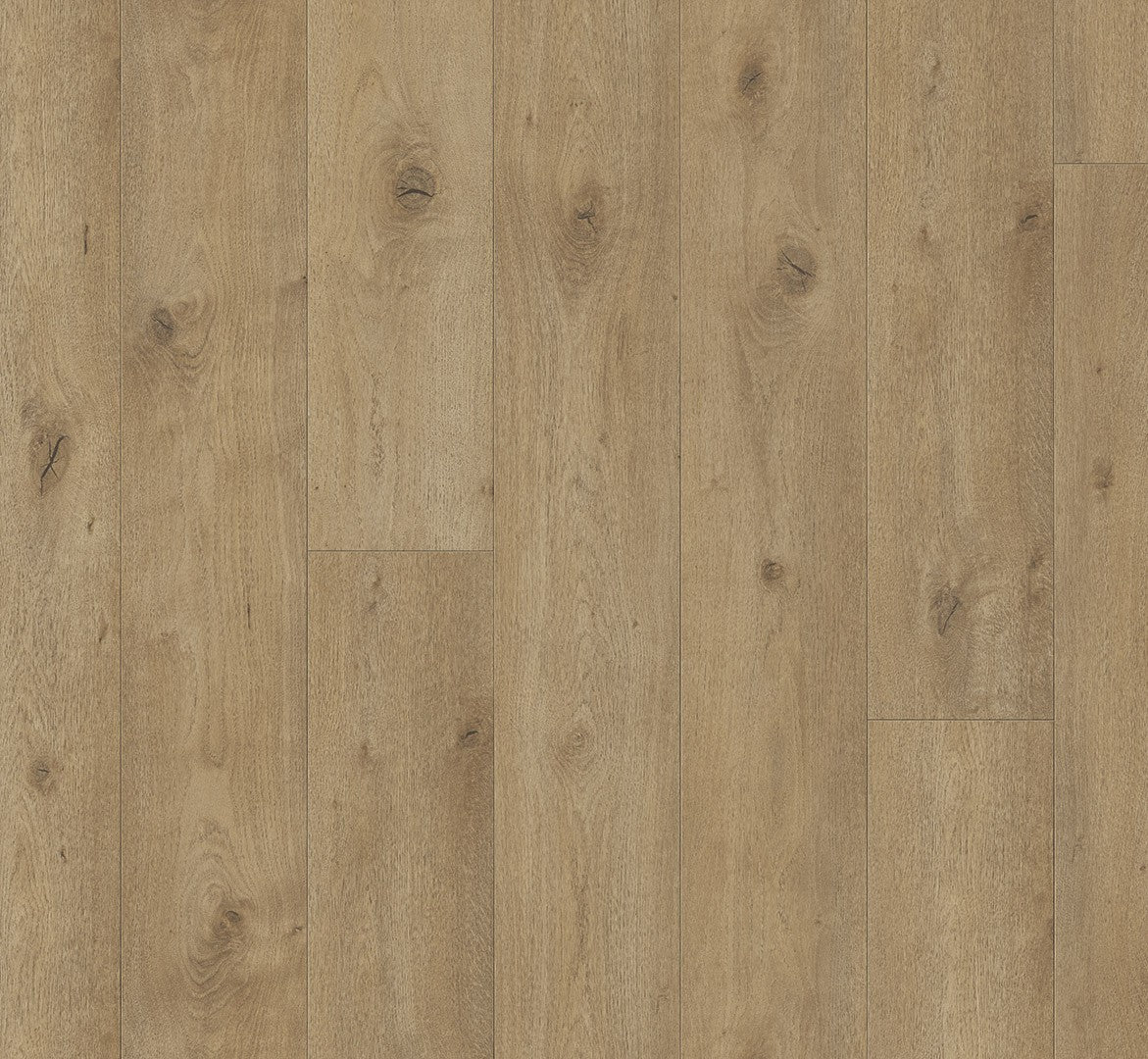 Parador Trendtime 6 Oak Everglade Natural laminate flooring