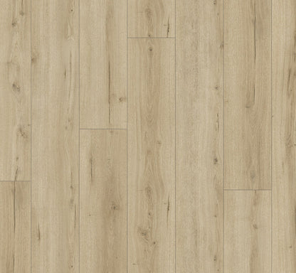 Parador Trendtime 6 Oak Loft Pure laminate flooring