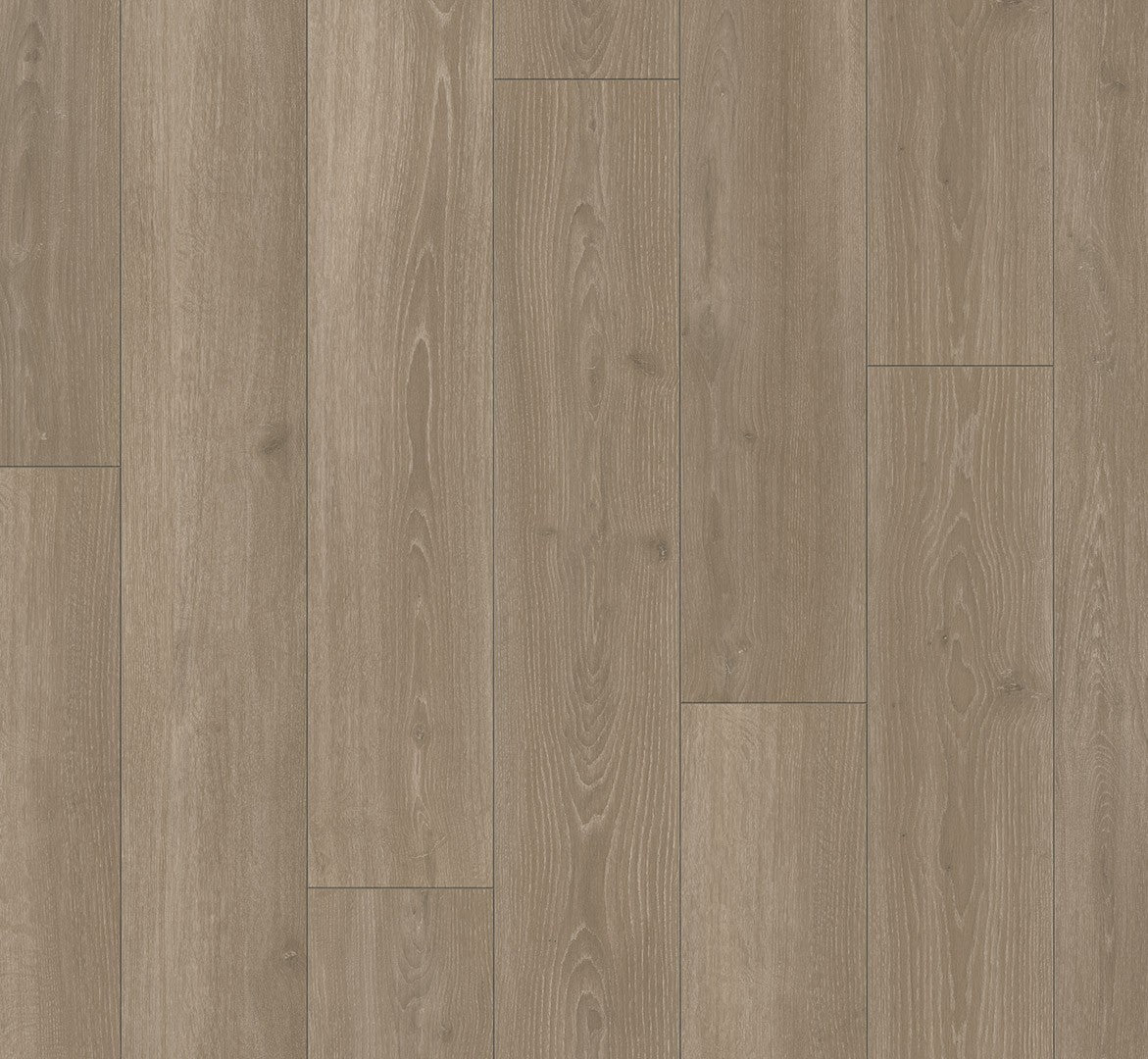 Parador Trendtime 6 Oak Skyline Pearl-Grey laminate flooring