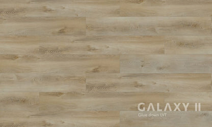 Galaxy II Bode Glue Down Vinyl Flooring