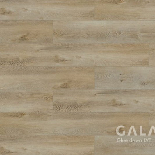 Galaxy II Bode Glue Down Vinyl Flooring