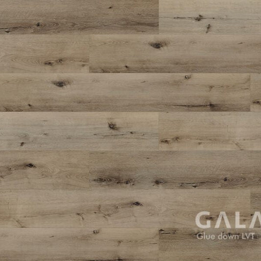 Galaxy II Malin Glue Down Vinyl Flooring