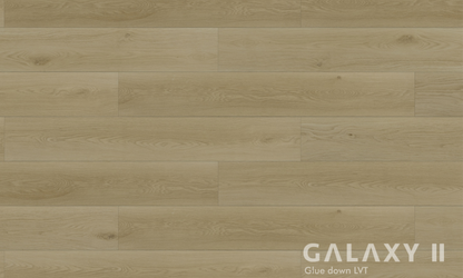 Galaxy II Zephyra Glue Down Vinyl Flooring