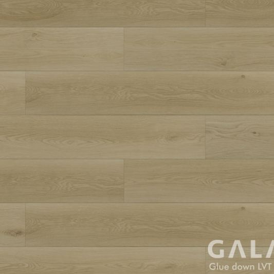 Galaxy II Zephyra Glue Down Vinyl Flooring